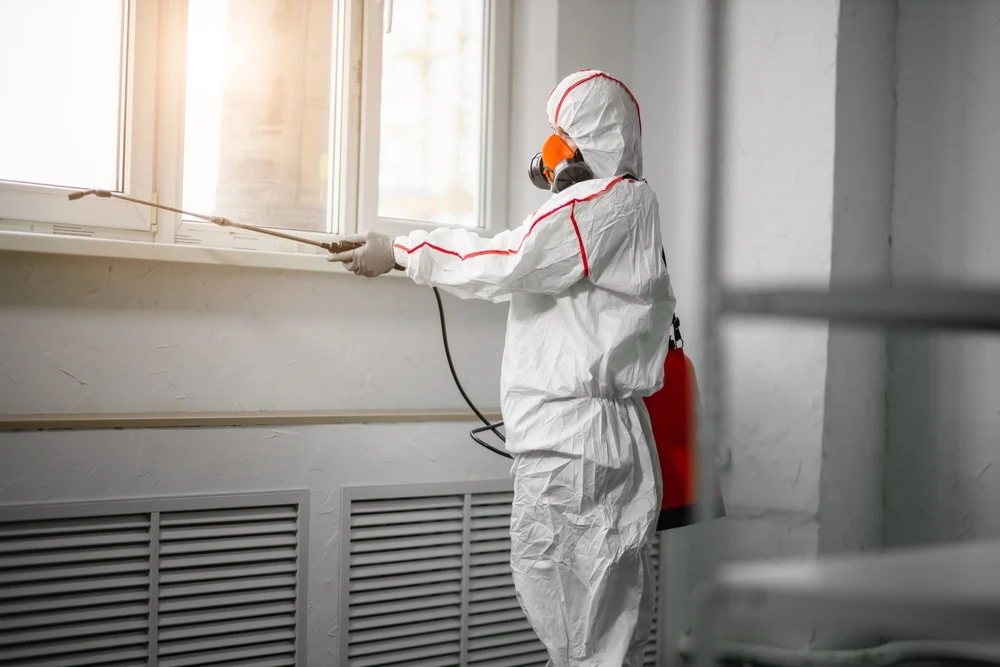Professional mold remediation services in Pittsview, AL